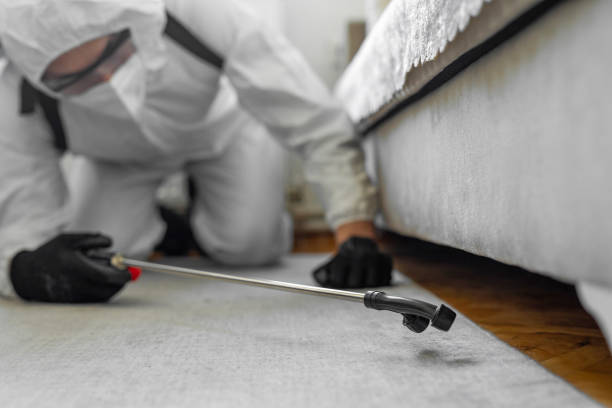 Professional Termite Control technician working in Mansfield, MO