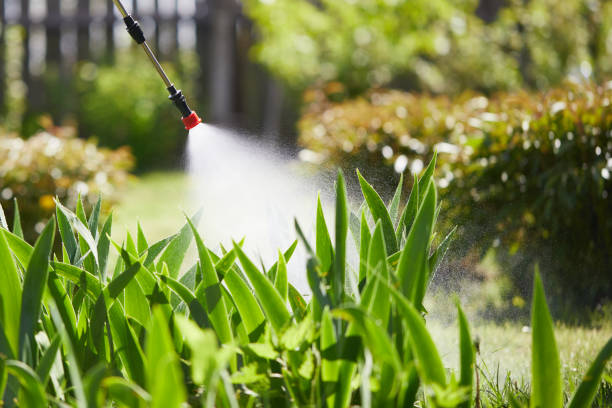 24/7 Emergency Termite Control experts in Mansfield, MO