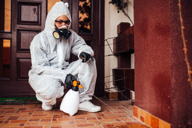 Reliable Termite Control contractor in Mansfield, MO by Nex Pest Control